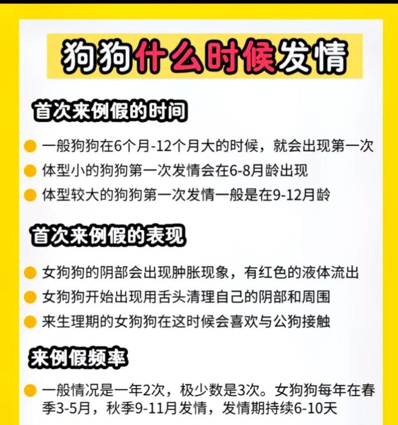 关于狗狗交配的重要知识（了解狗狗交配的必备信息，保护你的宠物健康）