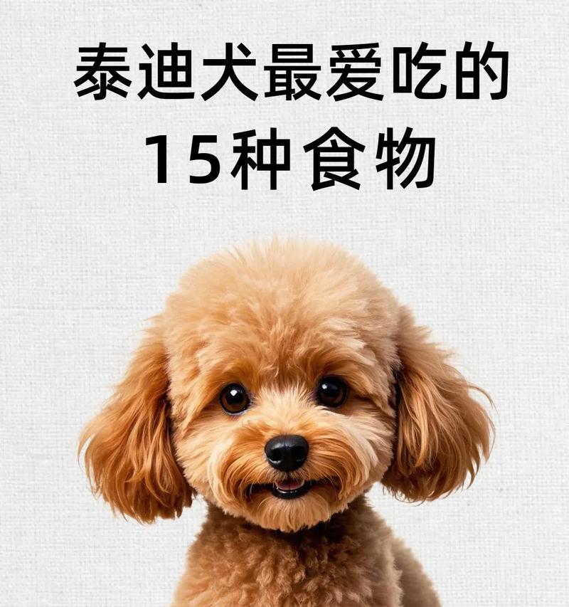 幼犬泰迪的科学饲养方法（了解适宜的狗粮摄入量，让泰迪健康成长）