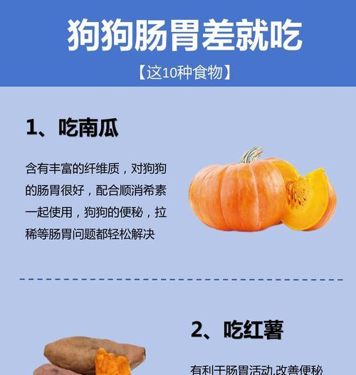 狗的消化过程及食物消化时间（揭秘狗狗吃东西后的消化过程，探究食物在狗体内的消化时间）
