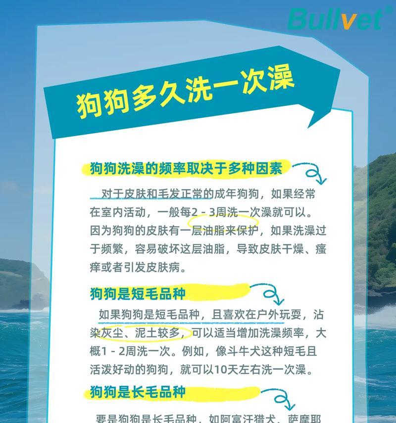小狗洗澡的最佳频率（了解小狗洗澡的时间间隔和注意事项）