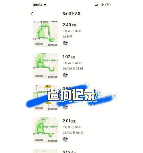 比熊狗的溜狗频率及注意事项（了解比熊狗的溜狗需求与养护方法）