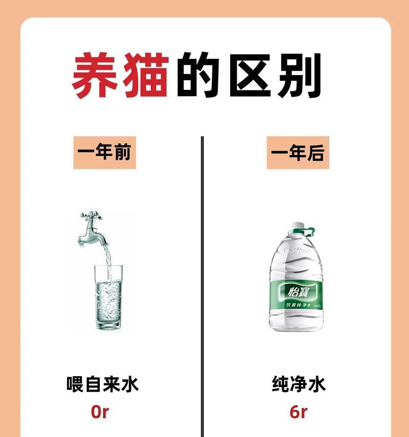 猫的小便频率与正常表现（揭秘猫咪如厕习惯，了解猫咪的健康状态）