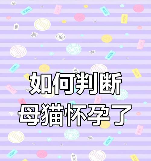 猫咪怀孕后多久会显出肚子？（探究猫咪怀孕期间肚子变化的时间节点和表现）