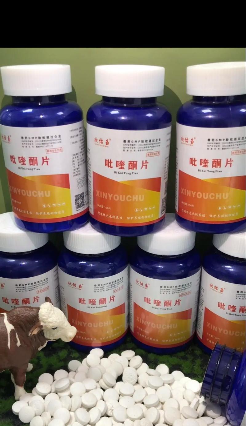 宠物吃完驱虫药后多久可以进食？（解答宠物驱虫药后进食时间的疑问）