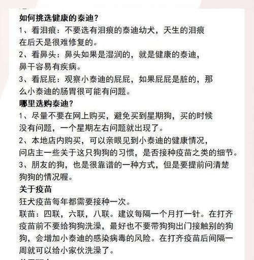 幼犬泰迪的饲养方法介绍（关于幼犬泰迪的饲养量以及合适的狗粮选择）