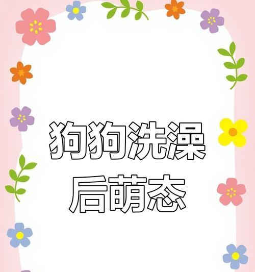 小狗的洗澡频率和注意事项（了解小狗洗澡的正确频率和注意事项，让你的小狗健康快乐）