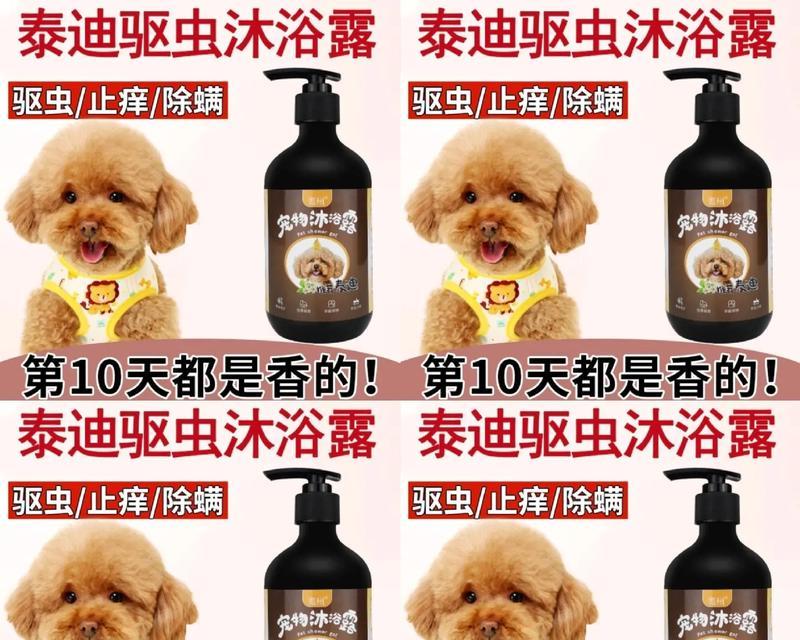 幼犬泰迪驱虫的时间和方法（养泰迪幼犬，合理驱虫非常重要）