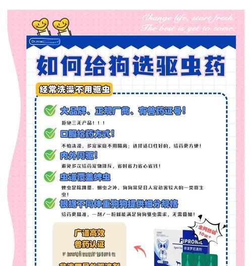 狗狗驱虫药的正确使用方法（养狗人士必看！保护宠物健康的关键一步）