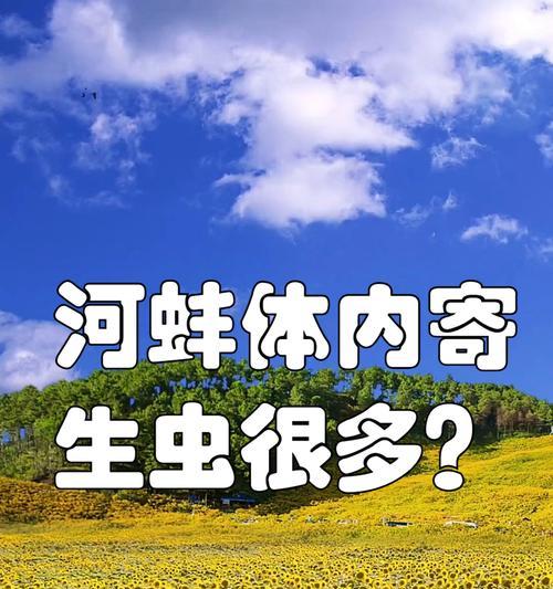 狗狗体内的常见寄生虫及防治方法（了解狗狗体内的寄生虫，保护它们的健康）