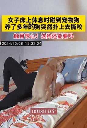 探讨咬人狗的原因及应对方法（咬人狗的心理问题和行为特征，培养与纠正方法）