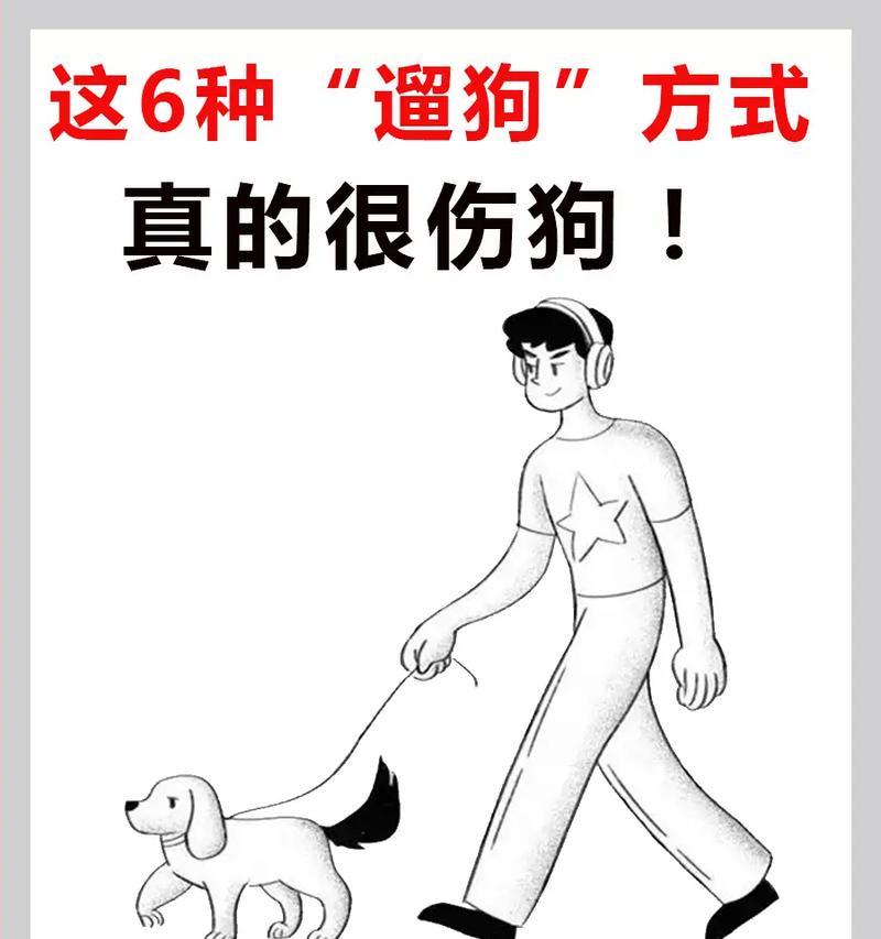 狗狗多久需要溜一次？（探索狗狗散步频率与需求之间的关系）