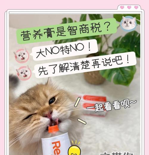 猫营养膏喂食频率探究（了解猫营养膏的合理喂食间隔，让猫咪获得最佳营养）