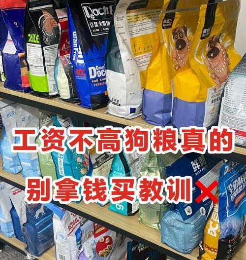 以泡了的狗粮能放多久？（存放期限、保鲜技巧和食用安全问题解析）