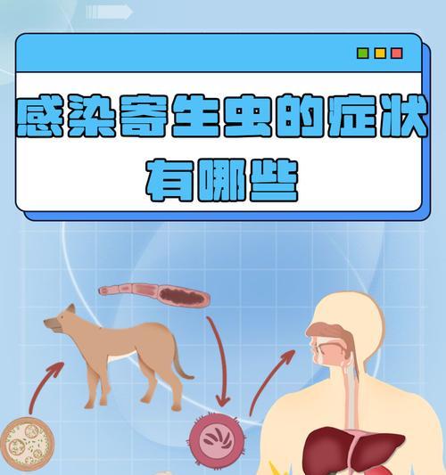 金毛身上常见的寄生虫种类及防治方法（了解金毛体内的常见寄生虫，保护它的健康）