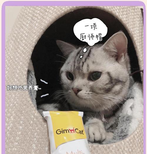 营养膏喂养频率对宝宝健康的影响（探讨营养膏喂养频率的最佳选择）