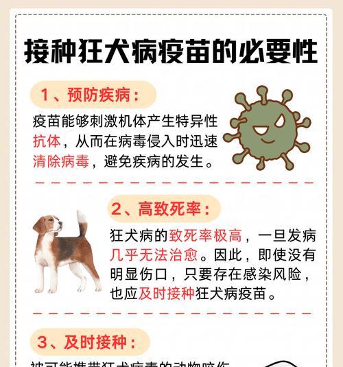 狂犬病的动物传播（哪些动物可以传播狂犬病？）