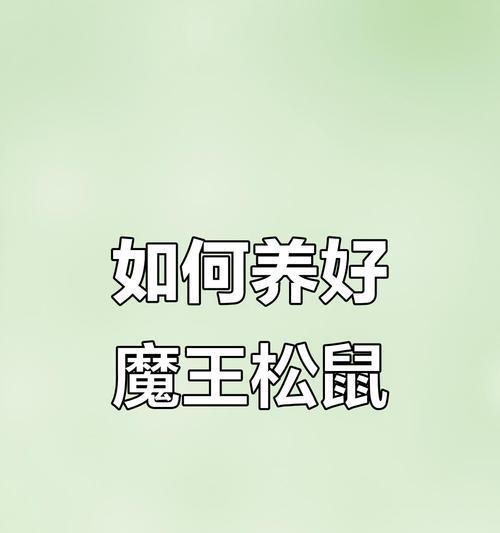 与魔王松鼠共度的岁月（一段别样的宠物经历）