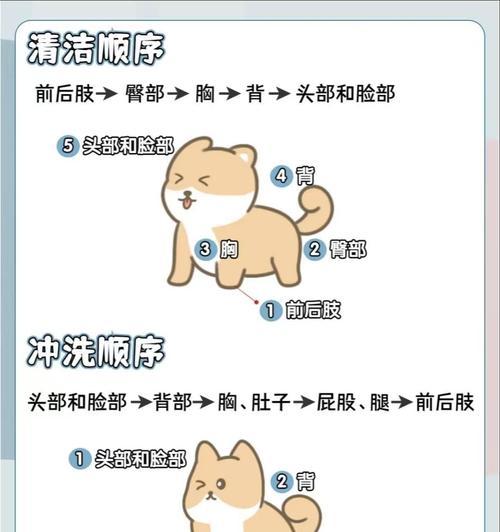 短毛狗狗洗澡频率的重要性（探索短毛狗狗洗澡的最佳时间和方法）