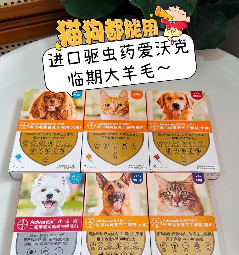 小狗驱虫药（有效驱虫药的关键是持续使用，记住这些关键信息）