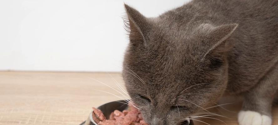 猫咪不吃猫粮多久会饿？（探究猫咪饮食习惯及不吃猫粮的潜在原因）