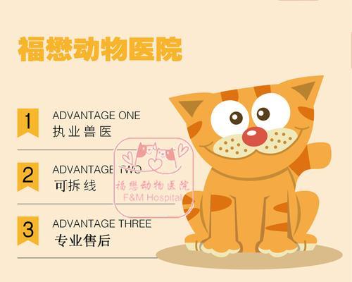 母狗绝育后纱布拆除时间的建议（了解母狗绝育术后纱布拆除的时间和方法）