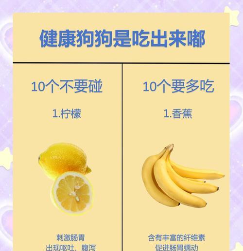 合理喂养狗狗的餐次数量和标准（狗狗每日饮食需求与喂食频率的科学依据）