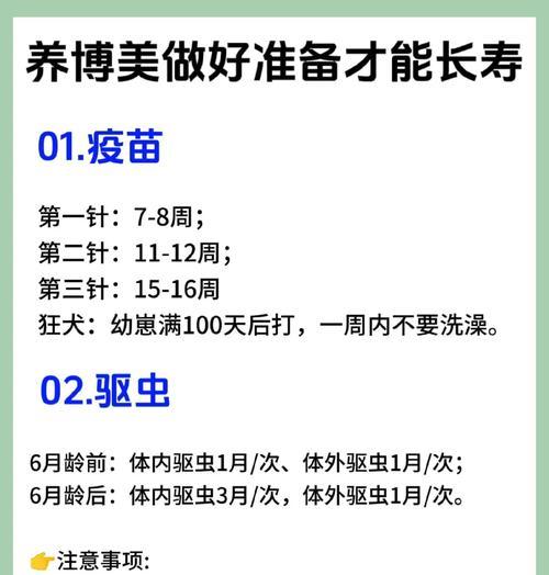 博美的一生阶段性的饲养全攻略（了解博美犬的成长发展，给你的宠物提供最佳养护）