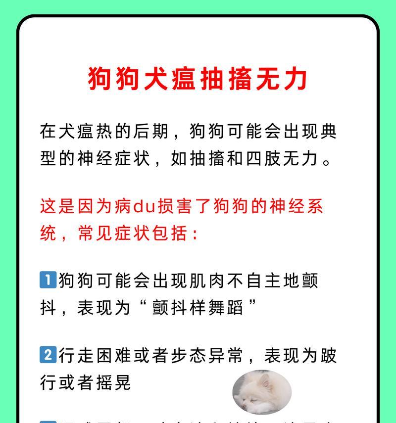 了解狗的寿命（揭开狗的寿命谜团）