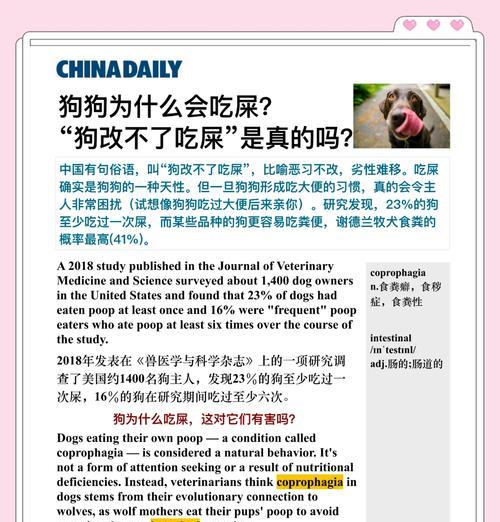 狗狗进食后多久拉便便？（揭开饮食与排泄之间的时间之谜）