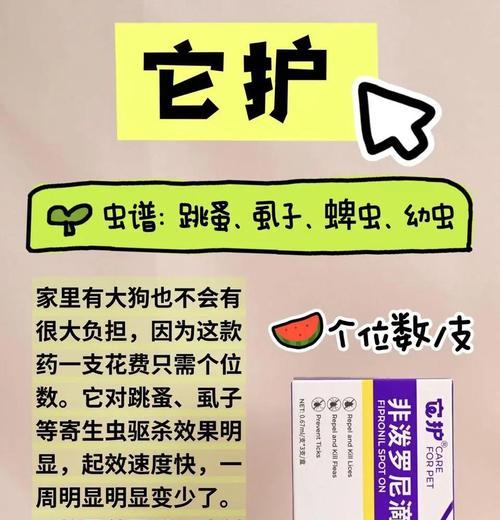 狗狗吃驱虫药的注意事项（保护宠物健康，正确使用驱虫药）