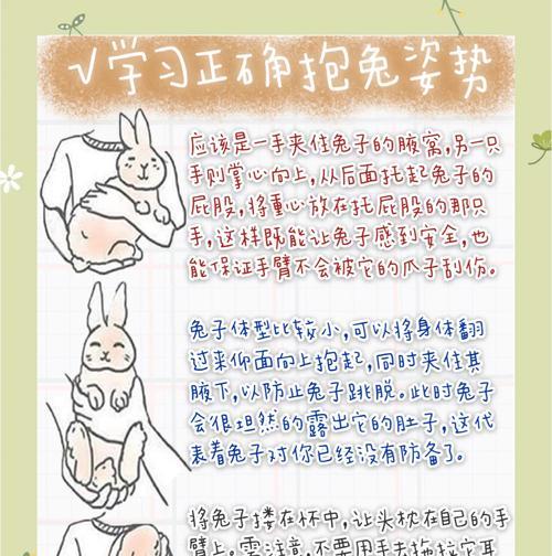 急救快冻死的小兔子，拯救生命的关键（训练母兔正常喂奶，保证幼兔成长）