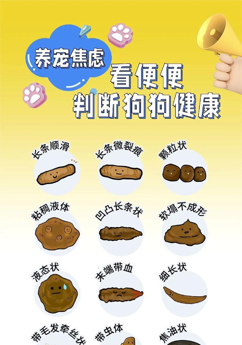 狗狗的日常喂食量和排便次数（了解狗狗的饮食需求和排便习惯，让它健康快乐）