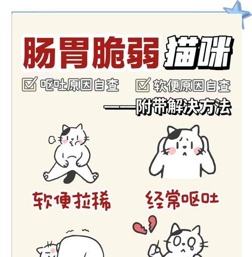 猫咪肠胃炎的康复时间究竟有多长？（揭秘猫咪肠胃炎康复的关键因素及治疗时间！）