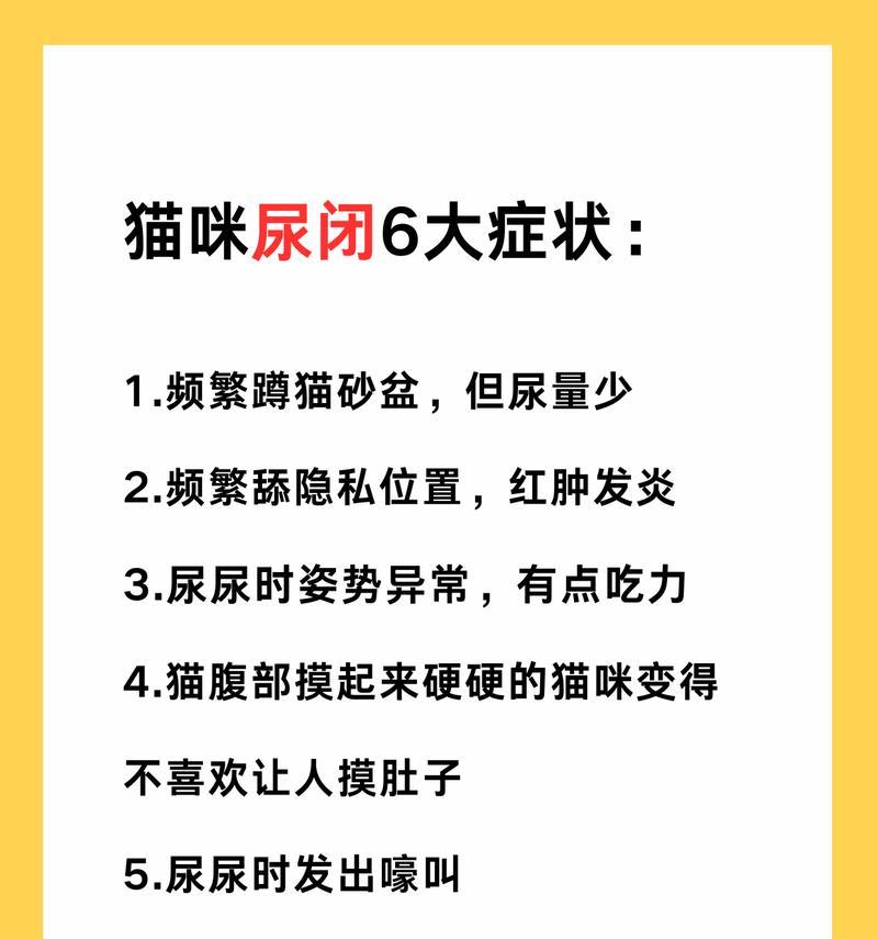 猫尿味（探究猫尿味的消散周期及有效清除方法）