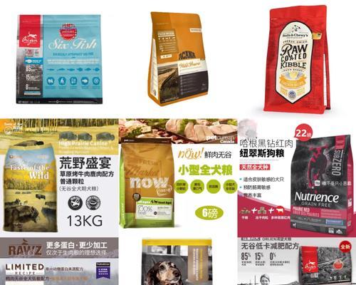 法斗的消化系统（探究法斗吃完食物后多久会排便及相关因素）