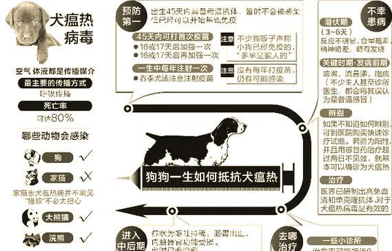 犬瘟热病毒引发的皮肤病及其防治措施（了解犬瘟热病毒引起的皮肤问题，避免伤害宠物健康）