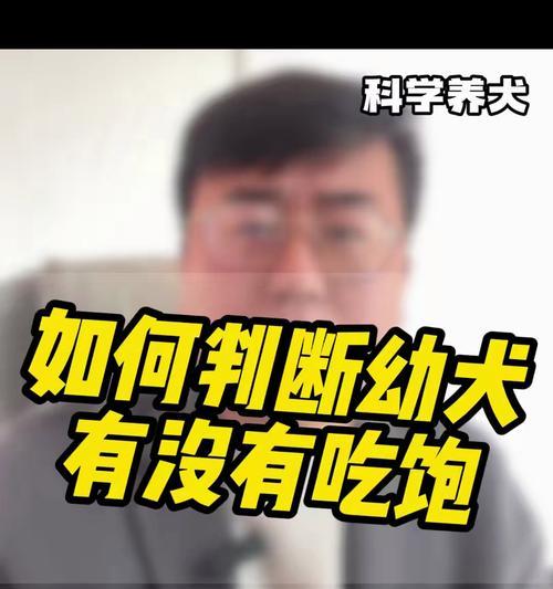 狗狗的饮食习惯及喂食频率（如何判断狗狗是否吃饱？）
