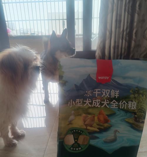 给2个月大的泰迪选择适合的狗粮（以宠物专用狗粮为主，为泰迪提供充足营养）