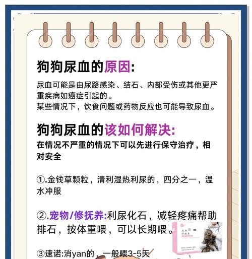 狗狗拉血后恢复正常的时间（了解狗狗拉血的原因和治疗方法，帮助它们快速康复）