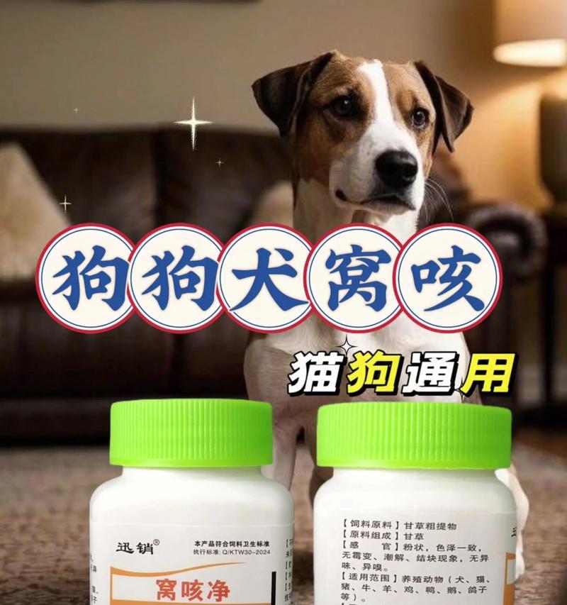小狗咳嗽的治疗时间及注意事项（狗咳嗽持续时间长短的关键因素与治疗方法）