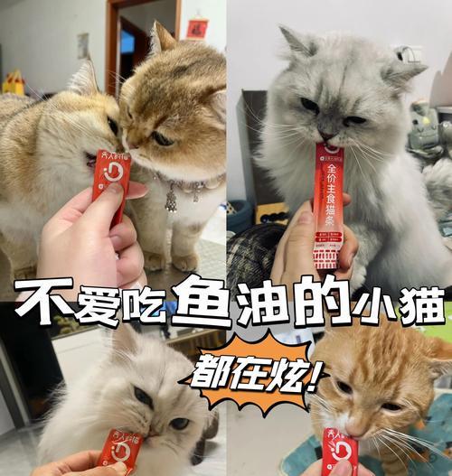 小猫的毛发换新周期及护理方法（了解小猫换毛的时间和技巧，让它拥有健康亮丽的毛发）