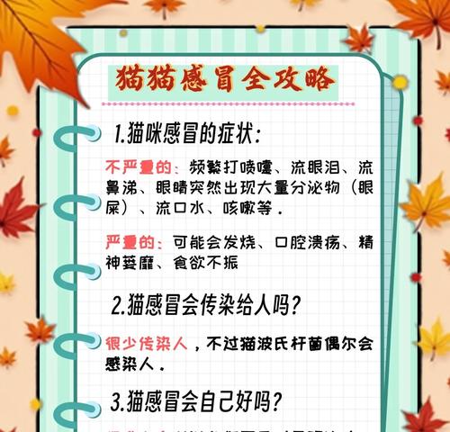 猫感冒的康复时长及相关知识（了解猫感冒的症状、治疗与预防方法）