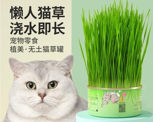 猫吐毛球的时间周期及预防措施（探究猫咪吐毛球现象的时间周期与有效预防方法）