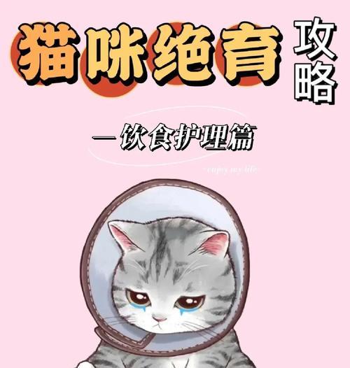 猫咪绝育后的护理方法（五点护理方法让你的猫咪安心恢复）