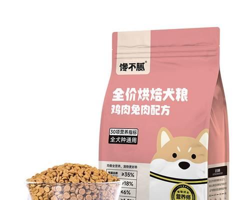 成年泰迪的合理狗粮饮食量（养泰迪的几个关键要点与建议）