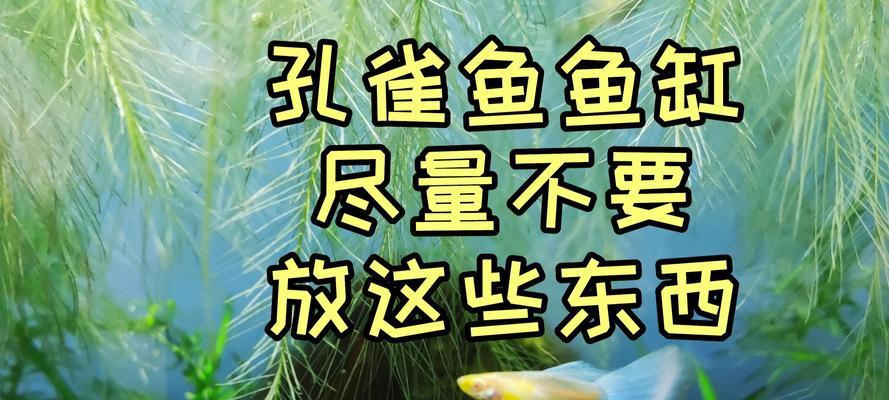鱼缸中鱼食喂多了的应对措施（解决鱼缸中鱼食过量问题的有效方法）