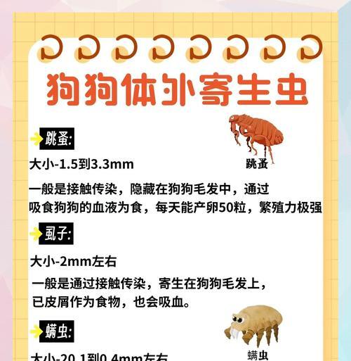 狗狗的驱虫周期（探讨狗狗体内体外驱虫的最佳时间间隔）