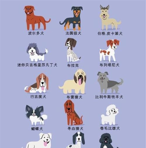 狗界传言揭秘（传言背后的真相及两种犬种之间的实力对比）