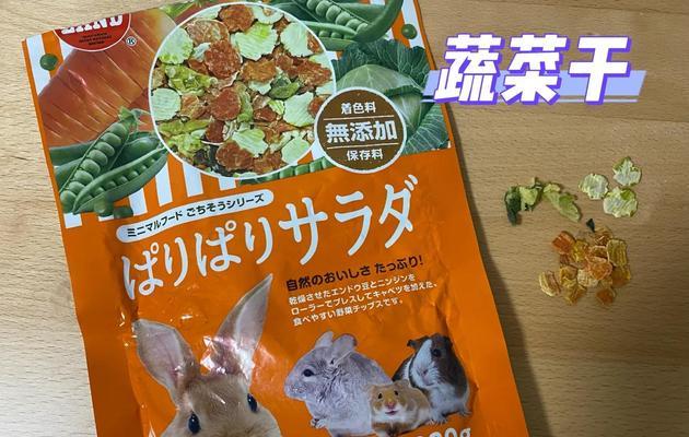 龙猫的饮食习惯与健康之道（了解龙猫的食物需求，让它们健康快乐生活）
