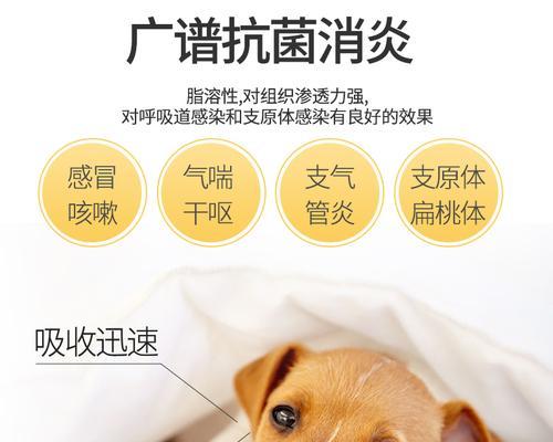 狗狗感冒可用药指南（了解狗狗感冒，选择适合的药物治疗）